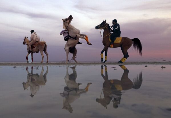 Эмиратцы на лошадях во время заката в Абу-Даби - Sputnik Азербайджан