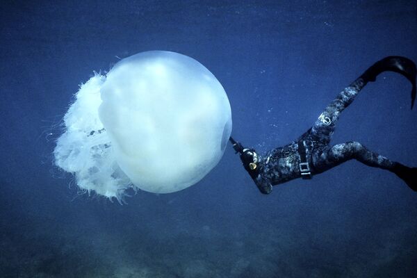 Фридайвер плывет рядом с большой медузой у побережья северного ливанского города Батрун. - Sputnik Азербайджан