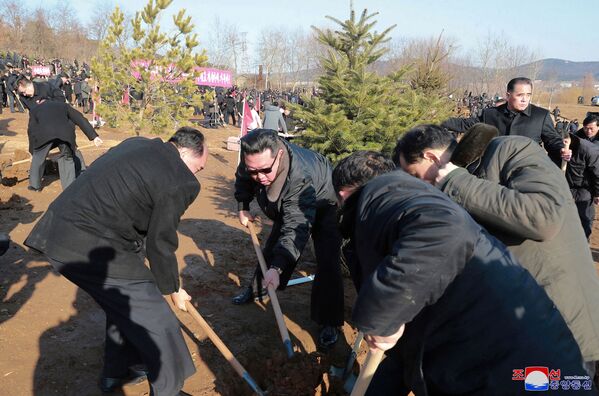 Şimali Koreyada Ağac əkini günü hər il martın 2-də keçirilir. - Sputnik Azərbaycan
