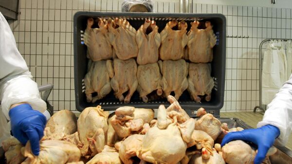 Рабочие птицефабрики сортируют курятину. фото из архива - Sputnik Азербайджан
