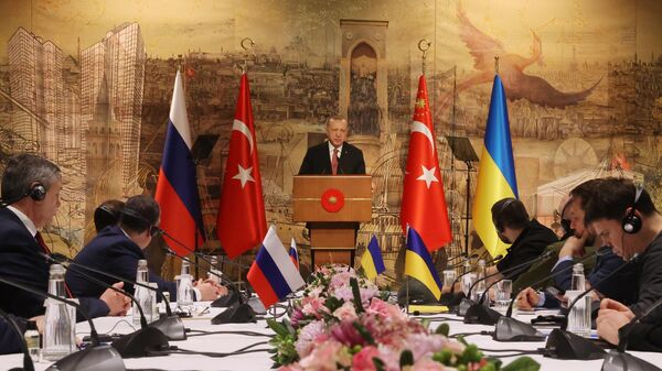 Переговоры России и Украины в Стамбуле - Sputnik Azərbaycan
