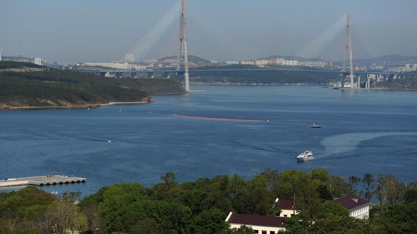 Вид на мост через пролив Босфор  - Sputnik Азербайджан