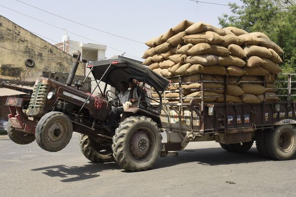 Рабочий перевозит на тракторе мешки с рисом в Амритсаре, Индия. - Sputnik Азербайджан