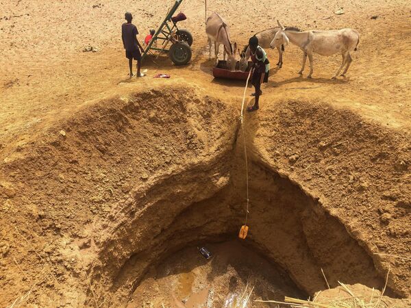 Климатические потрясения, такие как засуха в Восточной Африке и малое количество осадков в Западной Африке, приводят к продовольственным кризисам. - Sputnik Азербайджан