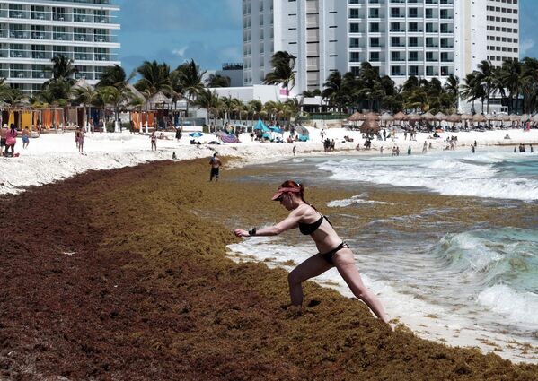 Турист идет по скоплению саргассовых водорослей на пляже Гавиота Азул в Канкуне, Мексика. - Sputnik Азербайджан