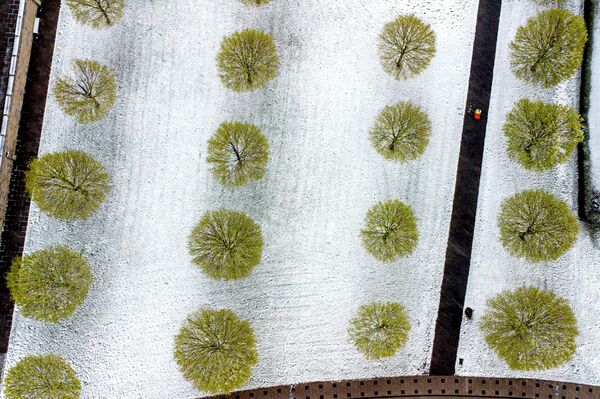 Зеленые деревья на лугу, покрытом свежевыпавшим снегом, во Франкфурте, Германия. - Sputnik Азербайджан