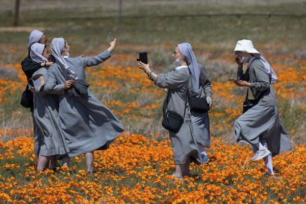 Монахини фотографируются на поле с цветами в Калифорнии, США. - Sputnik Азербайджан