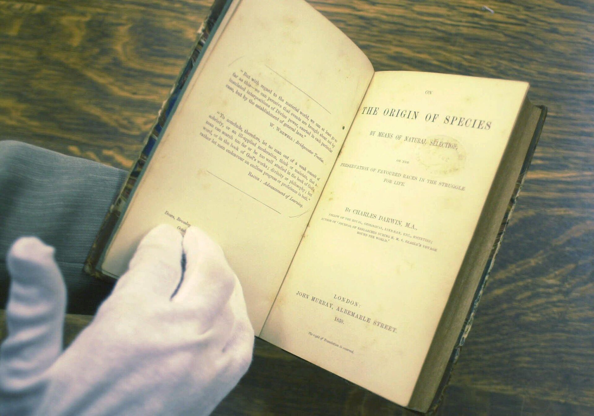 Первое издание книги Чарльза Дарвина «О происхождении видов путем естественного отбора» 1859 года - Sputnik Azərbaycan, 1920, 18.03.2024