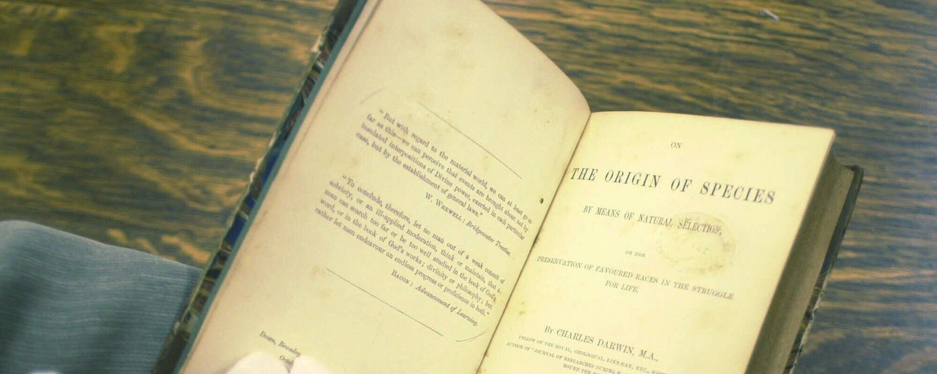 Первое издание книги Чарльза Дарвина «О происхождении видов путем естественного отбора» 1859 года - Sputnik Азербайджан, 1920, 11.04.2022