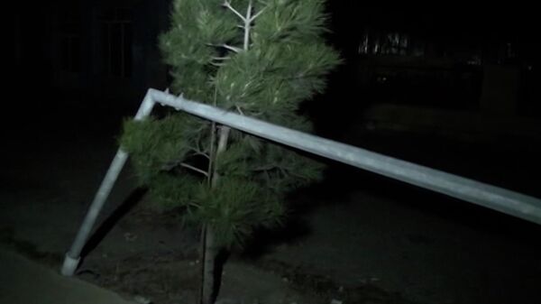Goranboyda külək ağacları yıxıb, evlərin damını uçurub, yol hərəkətini iflic edib - Sputnik Azərbaycan