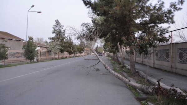 Последствия ураганного ветра в Тертерском районе - Sputnik Азербайджан