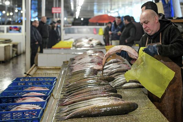 Всего в стране рыболовством занимались 279 физических и юридических лиц. - Sputnik Азербайджан