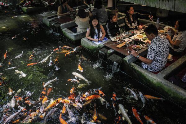 Посетители смотрят на плавающих карпов в рыбном ресторане в Чиангмае, Таиланд. - Sputnik Азербайджан
