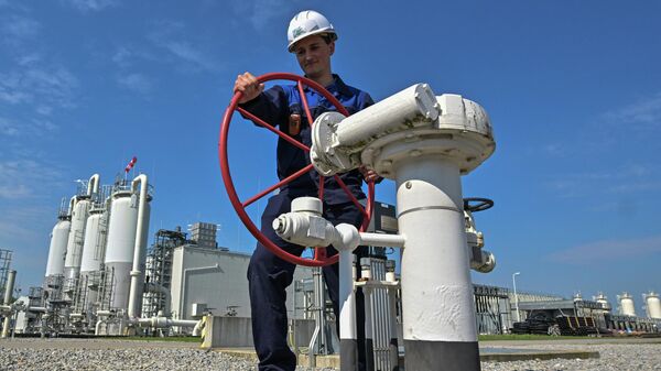 Рабочий на одном из крупнейших межсетевых газовых узлов в Европе  - Sputnik Азербайджан