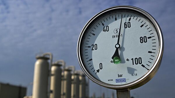 На одном из крупнейших межсетевых газовых узлов в Европе в Баумгартен-ан-дер-Марч, Австрия - Sputnik Азербайджан