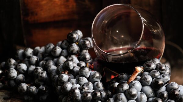 Виноградная лоза и вино в бокале  - Sputnik Азербайджан