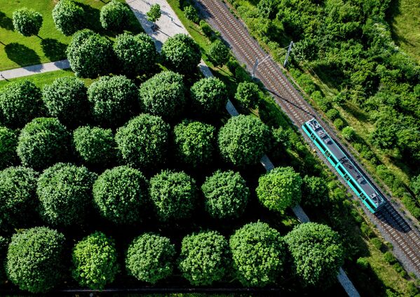 Поезд проезжает мимо деревьев в парке во Франкфурте, Германия. - Sputnik Азербайджан