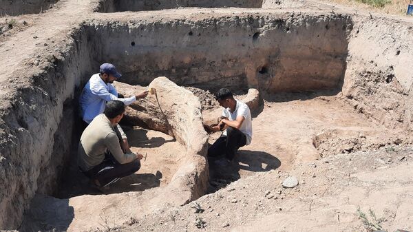 Археологические раскопки в Чагрытепе - Sputnik Азербайджан