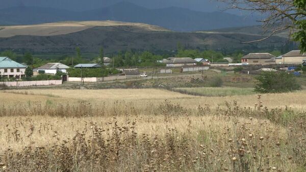 Защитить от огня: почему азербайджанские фермеры не опахивают защитные полосы на полях - Sputnik Азербайджан
