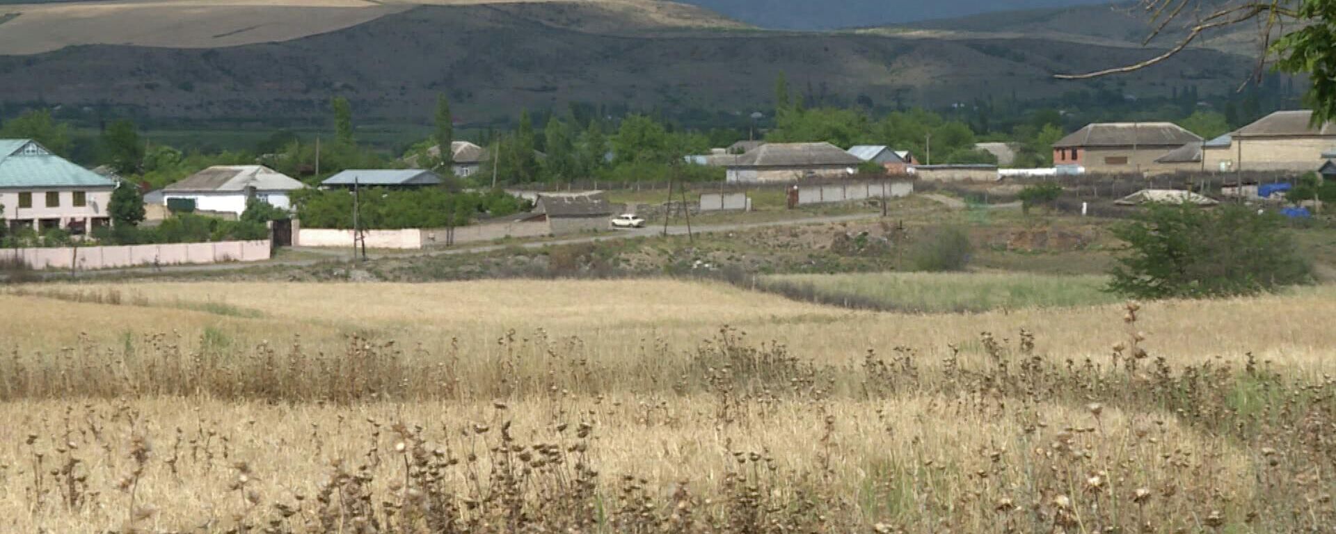 Защитить от огня: почему азербайджанские фермеры не опахивают защитные полосы на полях - Sputnik Азербайджан, 1920, 24.06.2022