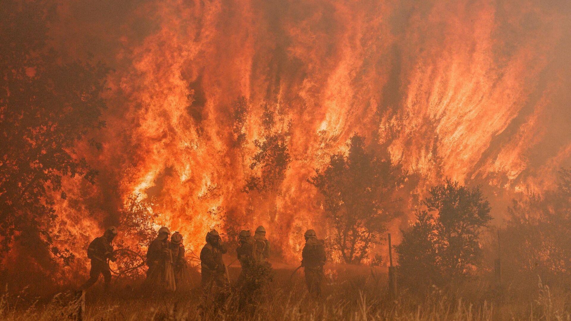 Пожарные работают на месте лесного пожара в Пумарехо-де-Тера, Испания - Sputnik Азербайджан, 1920, 12.07.2022