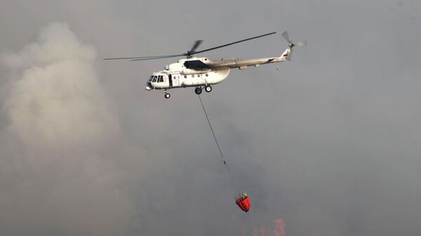 Тушение лесного пожара, фото из архива - Sputnik Азербайджан