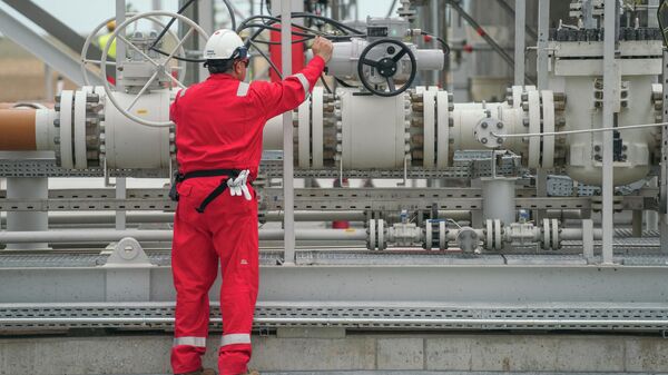 Рабочий проводит проверки по открытию газоперерабатывающего завода в Румынии - Sputnik Azərbaycan