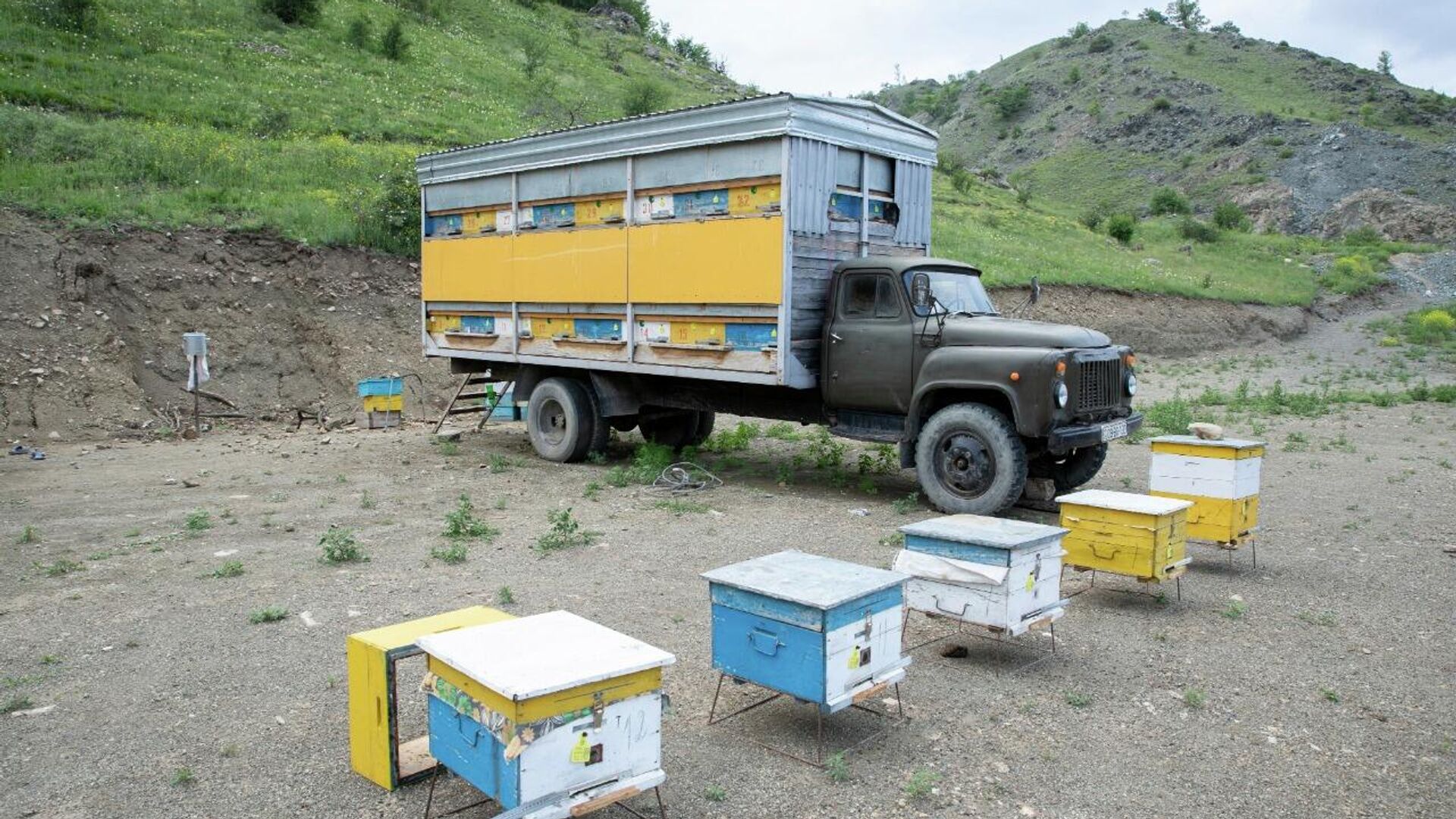 Переселение пчеловодческих хозяйств в Карабах - Sputnik Азербайджан, 1920, 07.07.2022