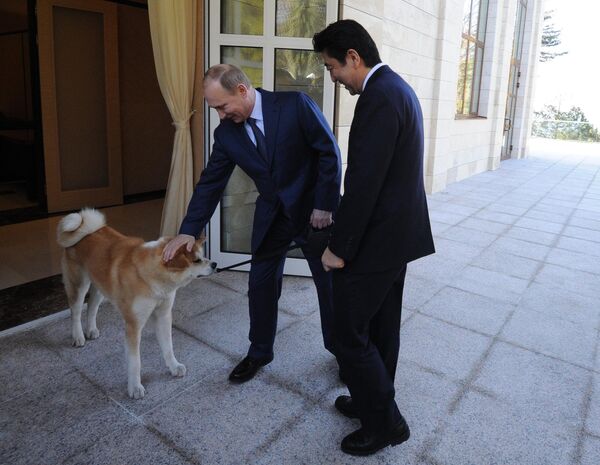 Vladimir Putin və Şinzo Abe. - Sputnik Azərbaycan