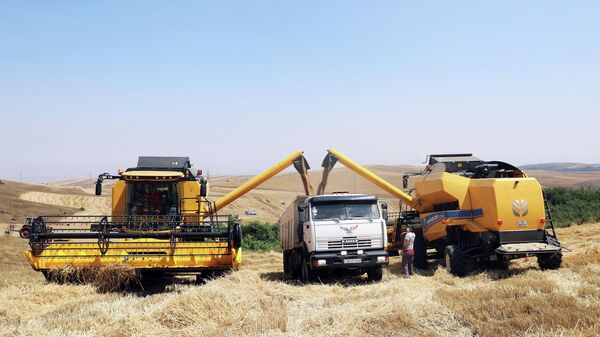 Уборка пшеницы в Азербайджане - Sputnik Азербайджан