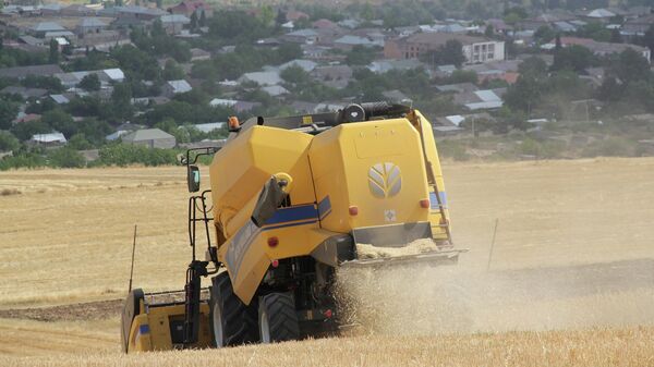 Уборка пшеницы, фото из архива - Sputnik Азербайджан