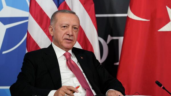 Türkiyə prezidenti Rəcəb Tayyib Ərdoğan, arxiv şəkli - Sputnik Азербайджан