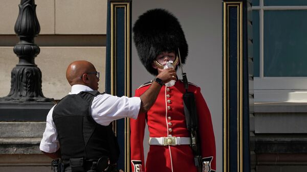 Полицейский поит дежурного у Букингемского дворца в жаркую погоду в Лондоне - Sputnik Азербайджан