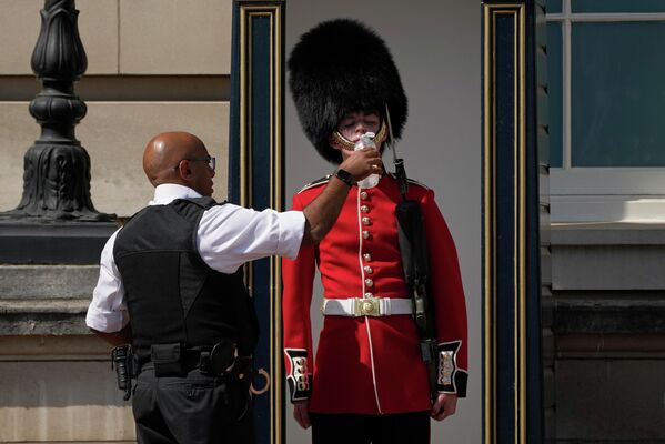 Полицейский поит дежурного у Букингемского дворца в жаркую погоду в Лондоне. - Sputnik Азербайджан
