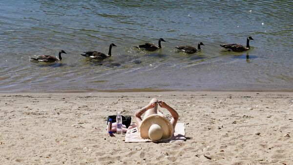 Утки проплывают мимо отдыхающего на пляже в Сакраменто, США - Sputnik Азербайджан