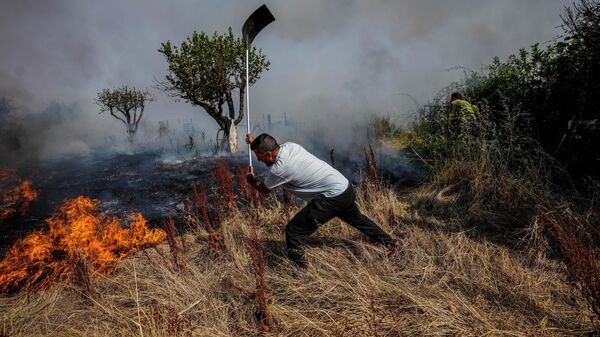 Местный житель тушит лесной пожар в Табаре, Испания - Sputnik Азербайджан