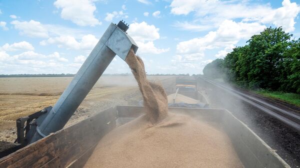 Уборка пшеницы, фото из архива - Sputnik Азербайджан