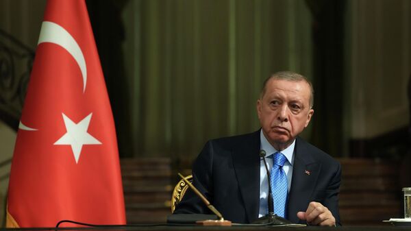 Türkiyə prezidenti Rəcəb Tayyib Ərdoğan, arxiv şəkl - Sputnik Azərbaycan