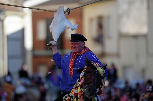 İspaniyanın Toledo əyalətinin El-Karpio-de-Taxo kəndində keçirilən Müqəddəs Yakov festivalı zamanı atlı ölü qazın başını qoparmağa çalışır. - Sputnik Azərbaycan