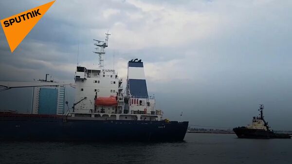 Первый пошел: в портах Одессы ждут отправки еще 16 судов - Sputnik Азербайджан