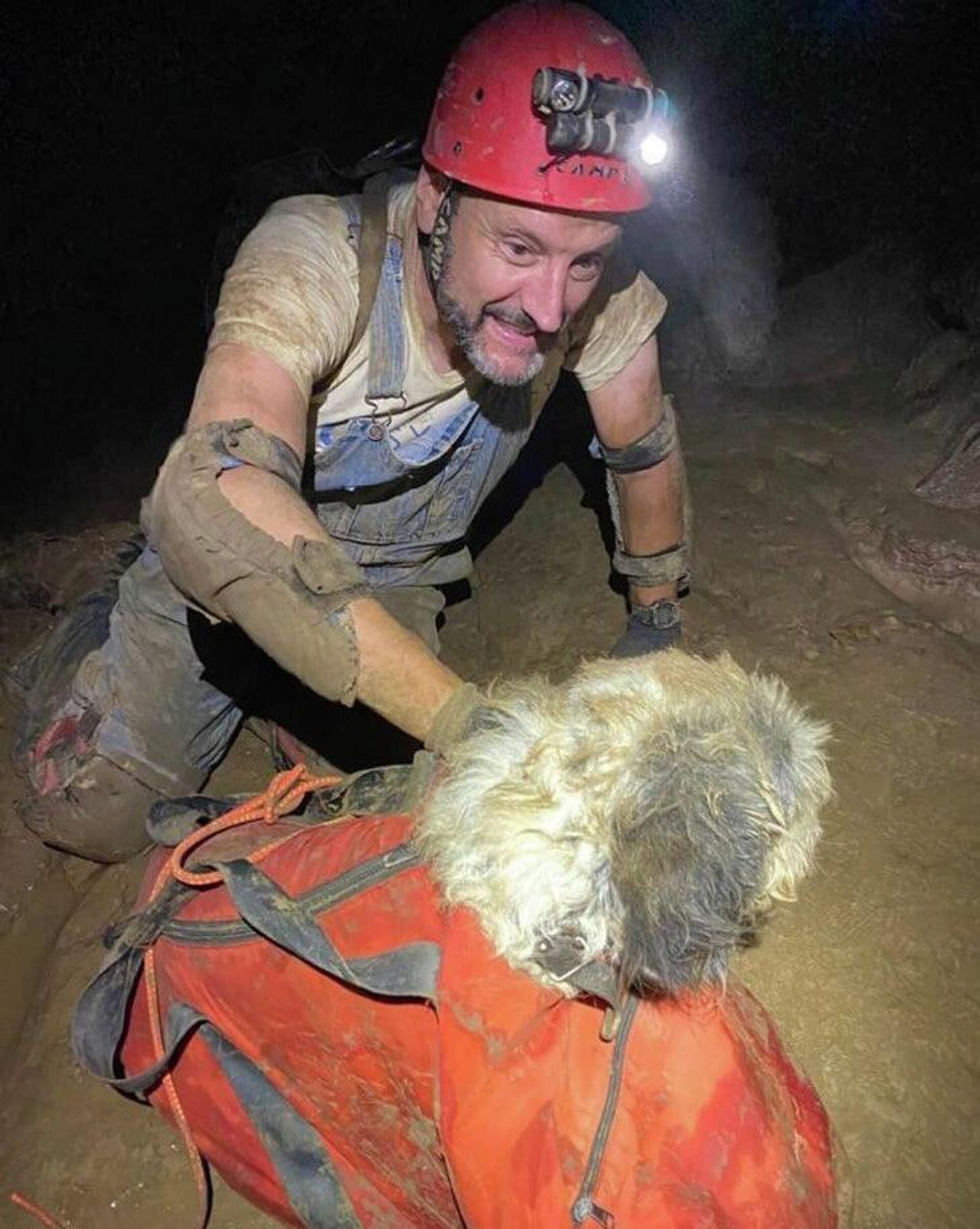 Пропавшая собака два месяца жила в пещере в Миссури - Sputnik Азербайджан, 1920, 18.08.2022