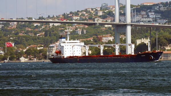 Сухогруз Razoni - первое судно, прибывшее с украинским зерном, выходит после досмотра из порта Стамбула - Sputnik Азербайджан