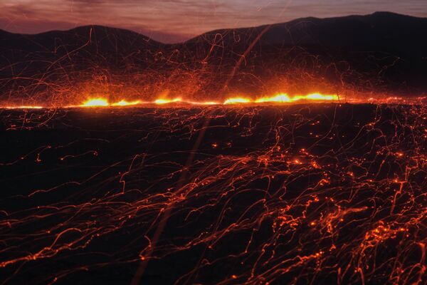 Лесной пожар в Кастаике, Калифорния. - Sputnik Азербайджан