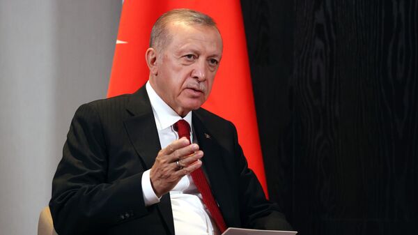 Türkiyə prezidenti Rəcəb Tayyib Ərdoğan  - Sputnik Azərbaycan