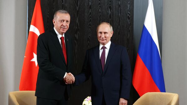  Rusiya prezidenti Vladimir Putin və Türkiyə prezidenti Rəcəb Tayyib Ərdoğan görüş zamanı - Sputnik Азербайджан