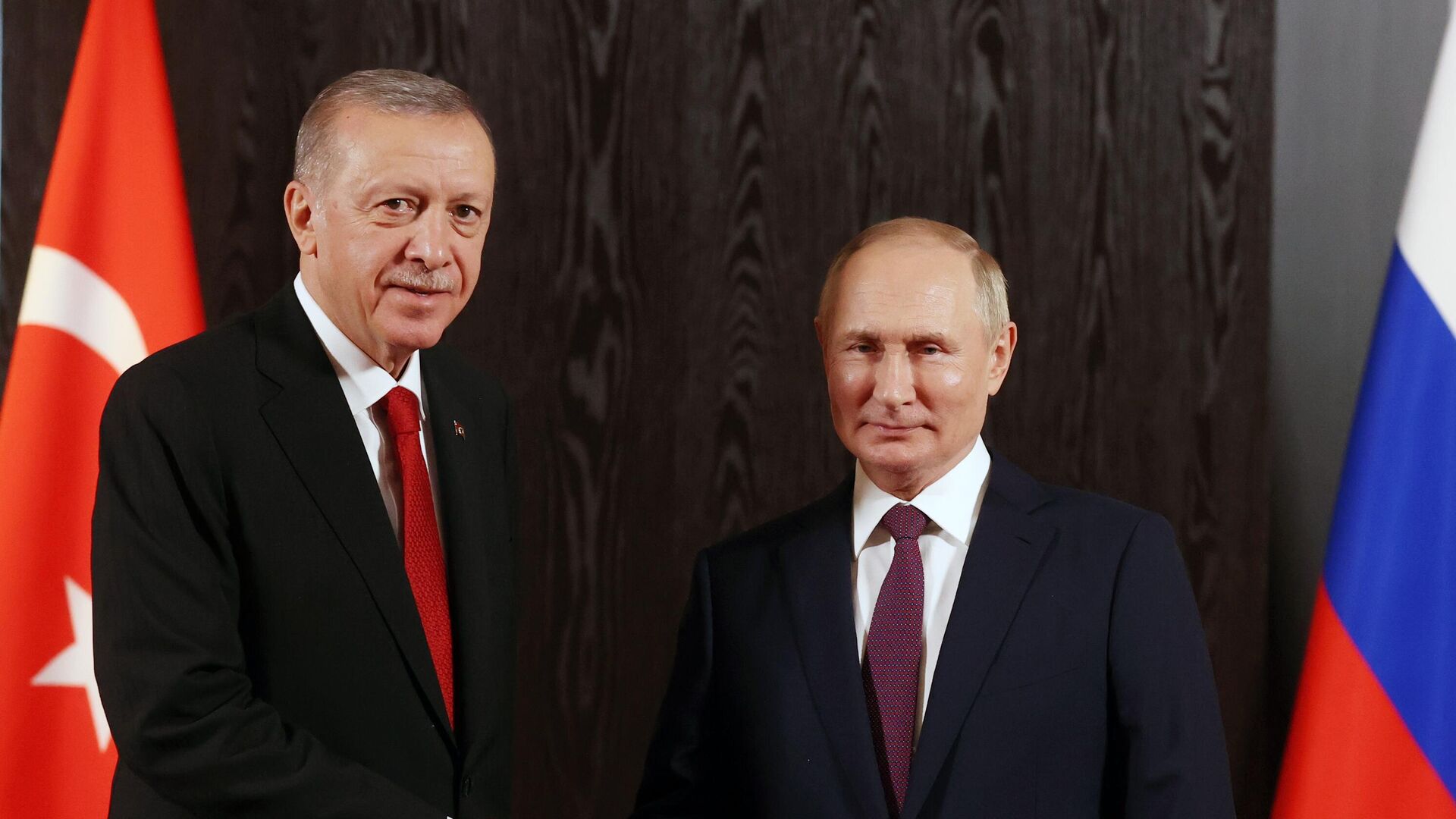 Президент России Владимир Путин и президент Турции Реджеп Тайип Эрдоган - Sputnik Азербайджан, 1920, 07.10.2022