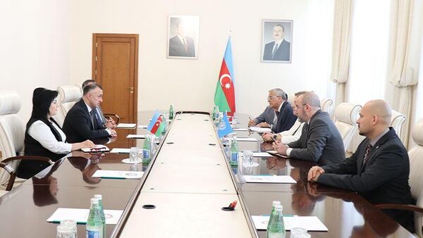 Встреча Теймура Мусаева с делегацией оценочной миссии ВОЗ  - Sputnik Азербайджан
