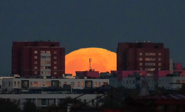 Охотничья луна восходит над зданиями в центре Таллина, Эстония. - Sputnik Азербайджан