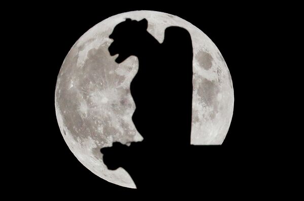 Охотничья луна восходит за горгульей собора Нотр-Дам де Пари. - Sputnik Азербайджан