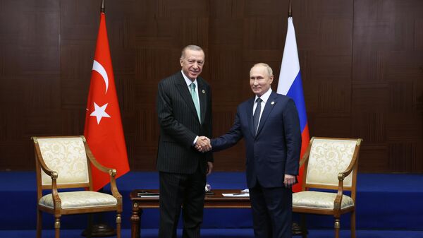 Президент РФ Владимир Путин и президент Турции Реджеп Тайип Эрдоган (слева) - Sputnik Азербайджан